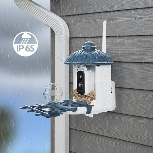 AI Smart Bird Feeder Camera | Solar Powered, AI Bird Species Recognition