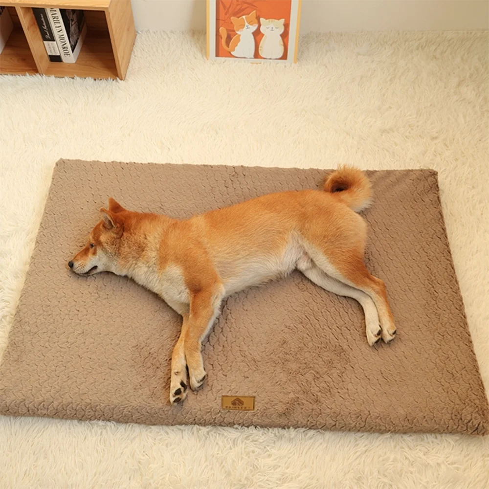 Orthopedic Dog Bed | 3D Memory Foam, Washable Cover, Anti-Slip | NZ