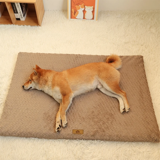 Orthopedic Dog Bed | 3D Memory Foam, Washable Cover, Anti-Slip | NZ