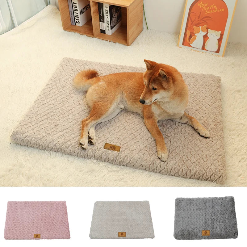 Orthopedic Dog Bed | 3D Memory Foam, Washable Cover, Anti-Slip | NZ
