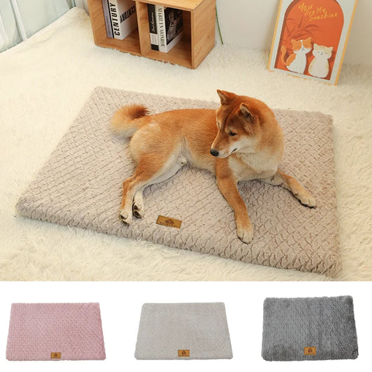 Orthopedic Dog Bed | 3D Memory Foam, Washable Cover, Anti-Slip | NZ