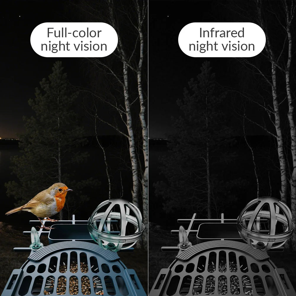 AI Smart Bird Feeder Camera | Solar Powered, AI Bird Species Recognition