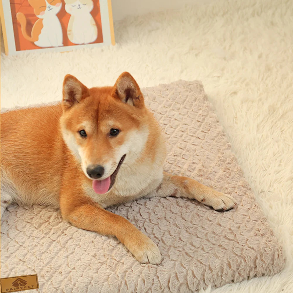Orthopedic Dog Bed | 3D Memory Foam, Washable Cover, Anti-Slip | NZ